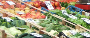 Rape da 1 a 4 euro: agricoltura in ginocchio ma è allarme speculazioni