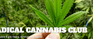 Semi di cannabis agli iscritti: l’ultima campagna scandalo dei Radicali