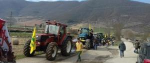 “Aprite quella strada o Castelluccio morirà”: protesta dei coltivatori di lenticchie
