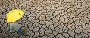 Roghi e siccità, 10 Regioni pronte a chiedere lo stato di calamità