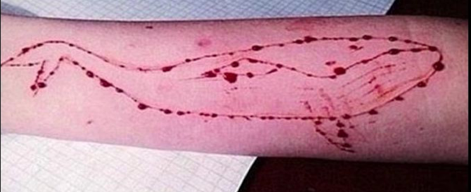 Psicosi Blue Whale, blogger accusato di essere il regista. Lui sporge denuncia