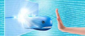 Blue Whale, un esorcista lancia l’allarme: nel “gioco” c’è il segno del demonio