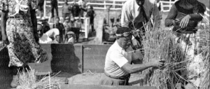 Spiaggia fascista, il Pd accelera sulla legge per zittire i “nostalgici”