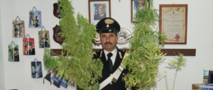 La Cannabis terapeutica fa sballare i conti della Lorenzin e dei farmacisti