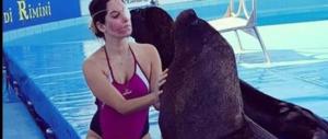 Gessica Notaro riparte dal delfinario: su Fb il suo messaggio di speranza e amore