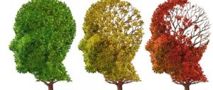 Ricerca, l’olio d’oliva protegge dall’Alzheimer. Ecco in che modo