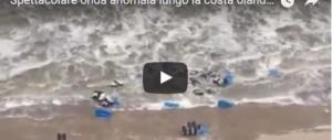 Spettacolare onda anomala in Olanda: ecco le immagini dello tsunami (VIDEO)