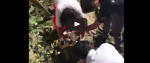 Donna si getta nel Tevere: le drammatiche immagini del salvataggio (VIDEO)
