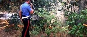 Italia, la prevalenza del cretino. Fermati a Montalto 4 piromani: “Solo una bravata”