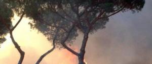 Roma, rogo nella pineta di Castel Fusano: probabile atto doloso (VIDEO)