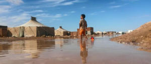 In campo per il popolo Saharawi i Leo di Lazio, Umbria e Sardegna