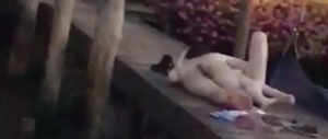 Degrado a Venezia: turisti gay fanno sesso nudi sul Canal Grande (VIDEO)