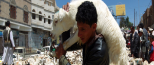 Festa islamica del Sacrificio: in Italia saranno sgozzati 400mila animali