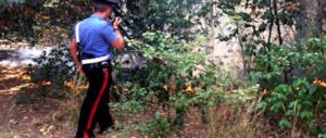 Incendi, beccato mentre appicca un rogo nel bosco di Viterbo: piromane in manette