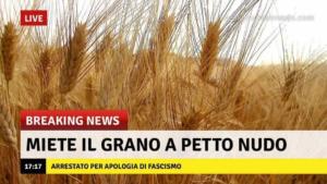 battaglia_grano_mussolini