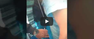 Migranti in treno senza biglietto, l’ira di una donna: «Infami» (video)