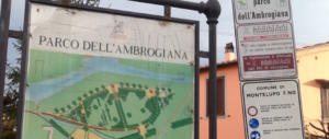 Firenze, un testimone racconta: «Così ho visto l’aggressione della 17enne»