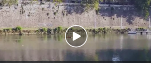 A Roma i divani navigano nel Tevere e speronano le barche… (video)