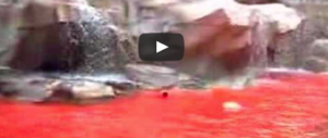 10 anni fa la fontana di Trevi si tinse di rosso. Ecco i motivi del blitz futurista (video)