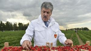 Tra gli avversari di Putin c'è anche un coltivatore di fragole