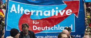 Germania, l’Afd scende in piazza contro la Merkel e contro l’Islam