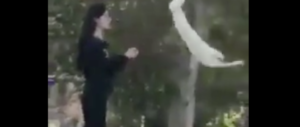Il femminismo che insegue il #metoo e dimentica la protesta del velo in Iran
