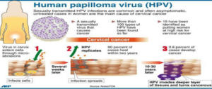 Il 4 marzo è stata la giornata mondiale del Papillomavirus