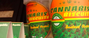 A Rimini un’azienda offre cannabis ai dipendenti: “È per rilassarli”