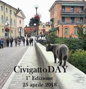 La locandina del Gatto day di Cividale