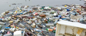 Parlamento Ue mette al bando la plastica monouso: «Divieto di vendita dal 2021»