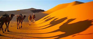 Oltre 11mila immigrati in marcia nel deserto del Sahara: per andare dove?