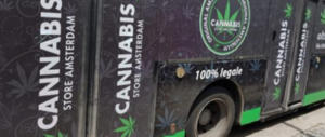 Cannabis light, i tossicologi a favore della messa al bando: «Avvicina alle droghe»