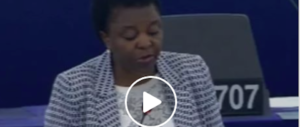 Kyenge: “Sono preoccupata per gli elefanti africani”. E il web s’infuria (video)