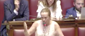 Meloni: «Apriamo gli occhi sulle mafie cinesi e nigeriane». Ma Lega e 5Stelle si sfilano (video)