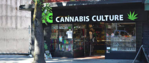 San Patrignano contro la cannabis light: non è affatto “leggera”, lo dimostra una ricerca (video)