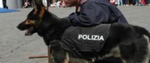 Allarme, c’è un cane fascista: assessore del Pd si copre di ridicolo