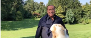 Non solo Dudù, ora c’è Harley nel cuore di Berlusconi (video)