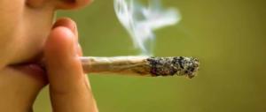 Cannabis, la Regione Toscana compra 4 milioni in “fumo” dall’Olanda