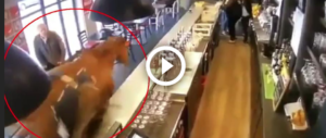 Cavallo al galoppo in un bar di Parigi. L’irruzione fa il giro del web (video)