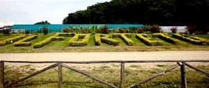 FdI e Fi: intervenire subito per fermare la comunità-setta rossa del Forteto