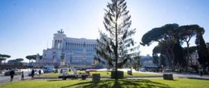 Albero di Natale a Piazza Venezia: Spelacchio addio, quest’anno c’è Netflix