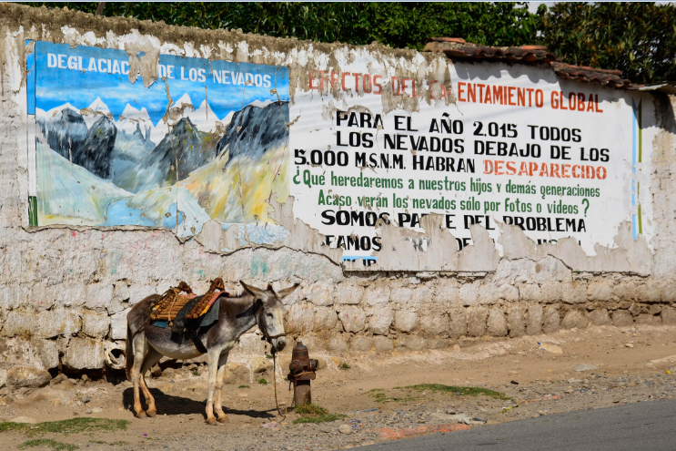 6.Attendendo diventerai burro. Marco Guerci
