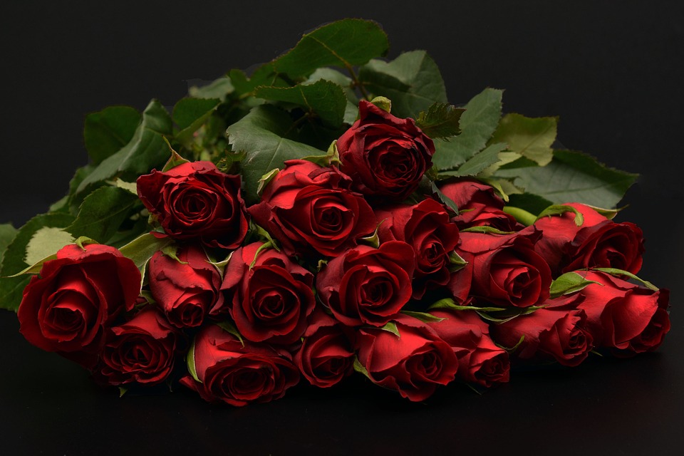 Rose rosse per la Boschi: le manda Simone Di Stefano di CasaPound…