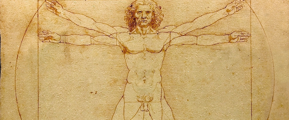 leonardo