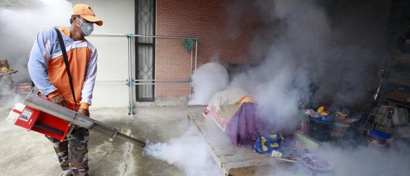 Aumento di casi dell’esotica Dengue in Italia. La malattia può essere fatale