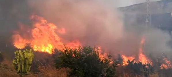 Sicilia, è emergenza incendi. Esposto Codacons contro la Regione Sicilia, è emergenza incendi. Esposto Codacons contro la Regione