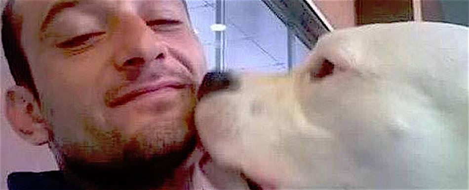 Alfano si vanta della “grazia” danese al cane Iceberg: tutto merito mio…