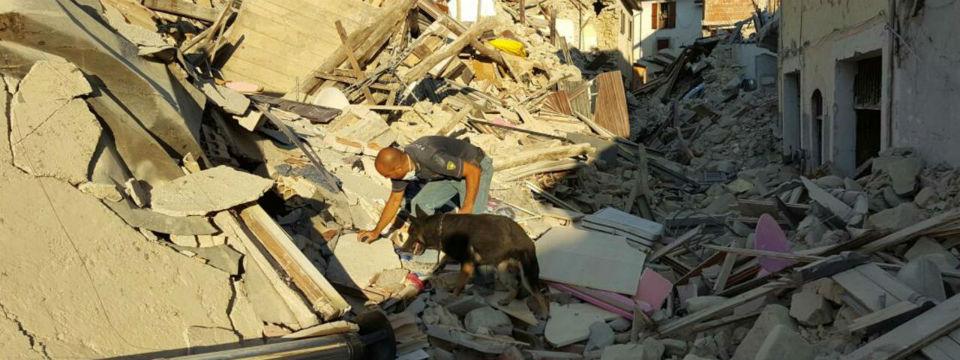 Troppe case abusive a Ischia, si infiamma il dibattito. Ma i sindaci dell’isola: non è vero Troppe case abusive a Ischia, si infiamma il dibattito. Ma i sindaci dell’isola: non è vero