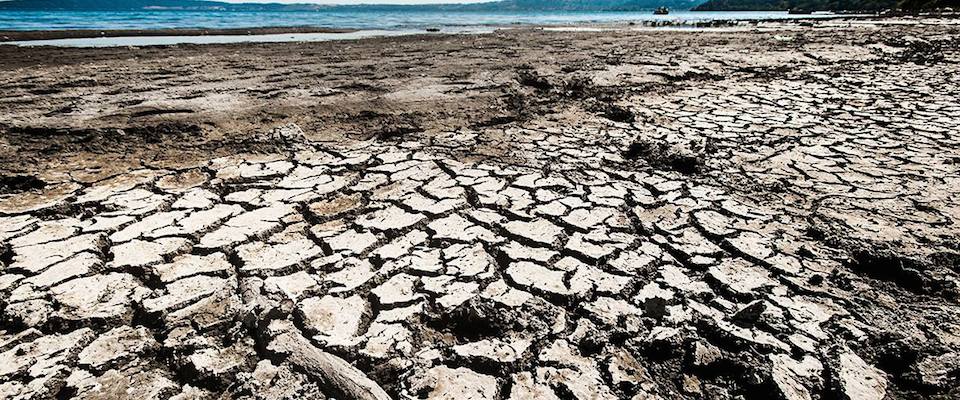 Sos lago di Bracciano, dove c’era acqua ora ci sono lunghe spiagge (galleria fotografica)
