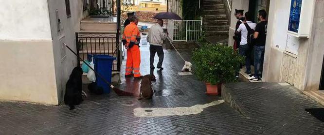 Ragazza ferita a colpi di pistola, l’aggressore si è suicidato